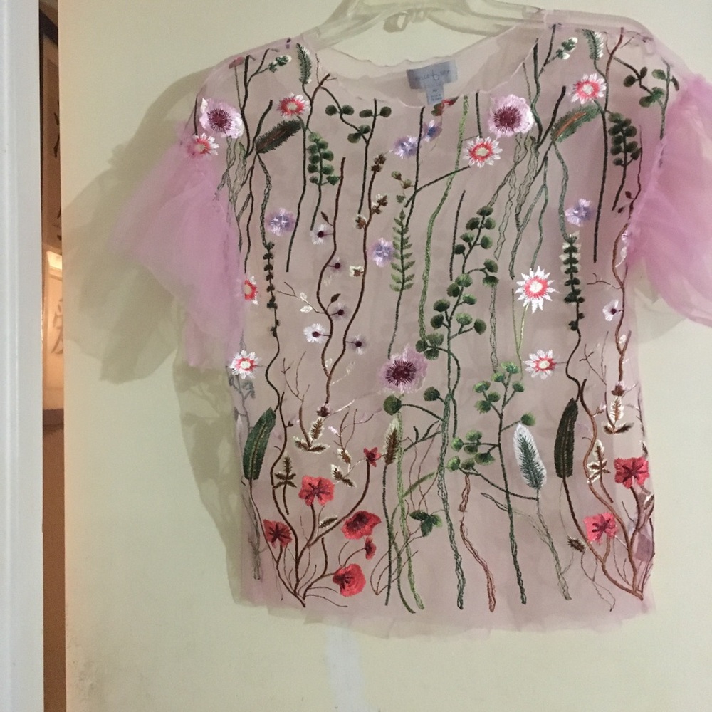 Belle and Sky Pink Mesh Embroidered Blouse Size XS